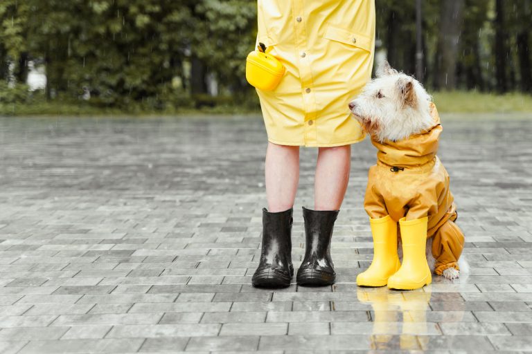 person in yellow coat holding white dog